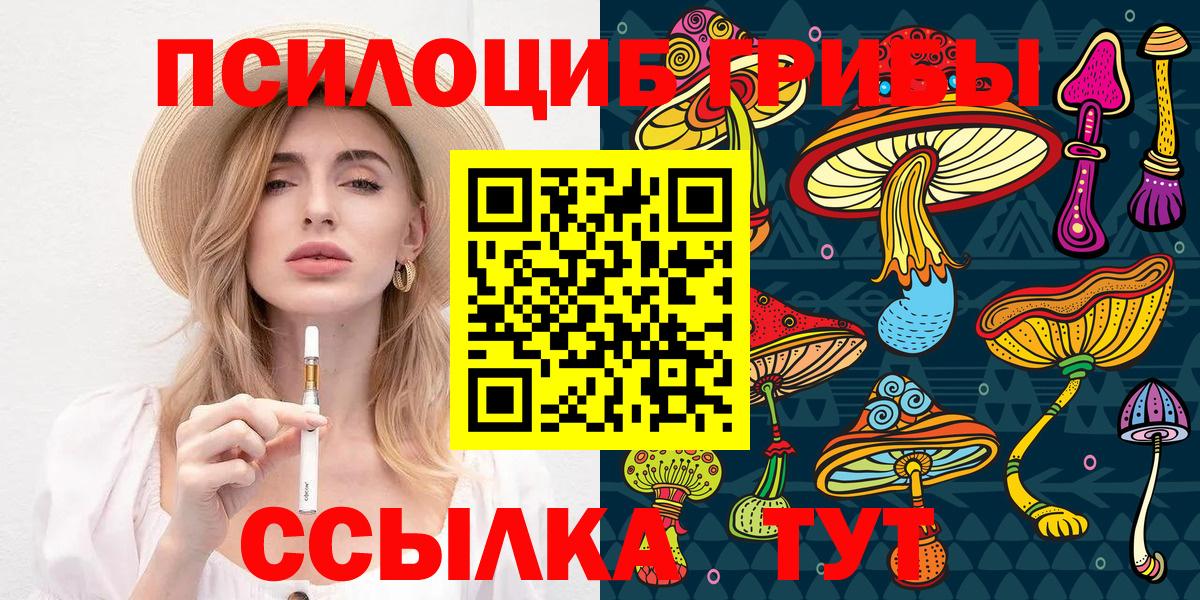 Тихорецк  Галлюциногенные грибы Magic Shrooms  Псилоцибиновые грибы MAGIC MUSHROOMS  купить закладку  Вход с VPN 